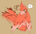 BIRDY 