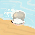 Tiny tiny seal in a seashell by Hinako20