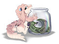 Jar by SushiGoat