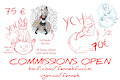 YCHs and other Commissions OPEN by fennekfuchs