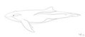 A different sort of phin