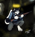 RossHusky Exercising Caution by sunitai