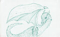 Generic dragon by DrakeDrakkon