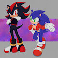 Shadow and Sonic|Gendergend by M0n0M0nk11