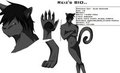 Reiz's BIO by Rejsan