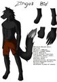 Zingo's BIO (OC) by Rejsan