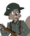 Heer Soldiers
