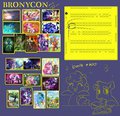 Bronycon 2013 Baltimore