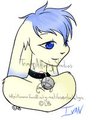 Other bunneh!