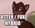 Ottox by MakoRuu