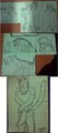 Shelter Drawings