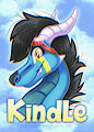 Conbadge Exchange: Kindle