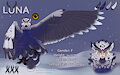 Luna's ref sheet + design