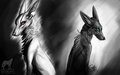 Of Darkness and Light