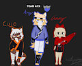 Team Ayx (Hero Team) by SamiChopTanuki999