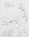 Sketch pony action poses