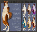 Adoptable Character Auction! Husky x Scottish Collie Cross by Kappy