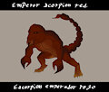 escorpion / scorpion by colmilloblancogcs