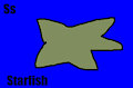 Starfish (Oggy and the Cockroaches) in Blue Animal Alphabet 1