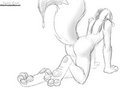 Paws of a Slave