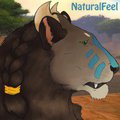NaturalFeel... again  by Nakoo