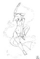 Sharkweek - Day 1