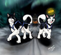 RossHusky Sled Dogs by sunitai