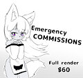 EMERGENCY COMMS!!