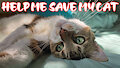 PLEASE HELP ME SAVE MY CAT by RyushiiChan