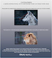 Cats and Dogs 101: Head Slope by WolfyWetFurr