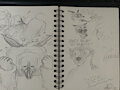 sketchbooks are nice by StShadowdirge