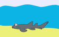 Nurse Shark