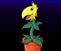 Parrot Grass