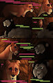 TGR - Ch1 : Pg27