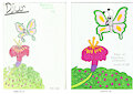 Evolution of Butterfly and Flower by KatarinaTheCat18