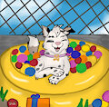Ball Pit Birthday Fun! *Gift* by Spotty2Wily