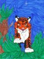 ARTWORK: Tiger 