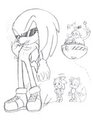 how knuckles was ment to be