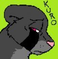 New Icon 