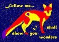 Follow Me... 