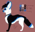 Schatzi--feral ref 