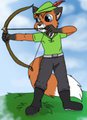 The little Archer