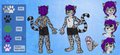 Cevas Reference sheet
