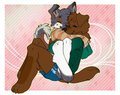 comm :: shaneharper