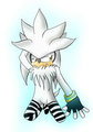 Fan Service of 4- Pick 4: Silver the Hedgehog