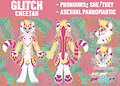 Glitch Reference Sheet