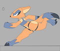 Zavite corriendo COLOR