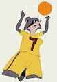 Lisa Raccoon flats by DismalDon