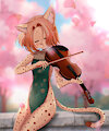 Violin Performance by naikelea