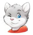 wink